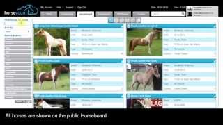 Horsecount: Horseboard