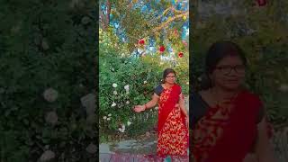 तुम अकेले तो कभी बाग में जाया न करो #bollywood #hindi #song Reena srivastava