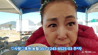 #김해도자기축제#작예단#삼월이#윤정단장님#덕칠이님#점칠이님#훈남님#놀러오세요😍