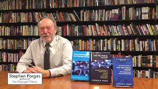 Stephen Porges on clinicians adapting the Polyvagal Theory for their practices.