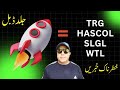 TRG - WTL - HASCOL - SLGL | Latest News Update and analysis