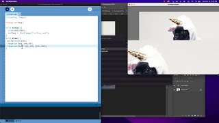 Loading Images in Programming with Processing