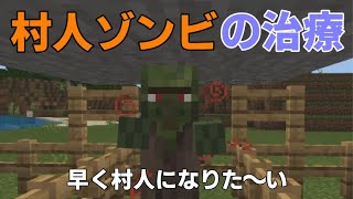 【マイクラ統合版Ver1.17】村人ゾンビの治療！ネザーにも行ったよ。【おもしろ雑学付き】