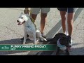 ZIP TRIP '24 FURRY FRIEND