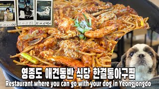 영종도 애견 동반 식당, 반려견 동반식당 한결통 아구찜 (Yeongjongdo Dog Restaurant Hangyeoltong Steamed monkfish)