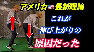 【※日本人が知らない】伸び上がる本当の原因は⭕️⭕️だった。