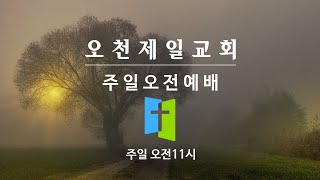 주일 오전 예배 실황(2025월02월23일)