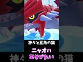 ニャオハ、大地と海と猫の神的な？【ポケモンsv】　 shorts