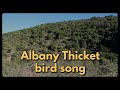 ALBANY THICKET BIRD CALLS - 24 typical bird songs from this unique habitat of the Eastern Cape