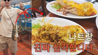 아니 이 가격에 이런걸 즐길 수 있다고? #나트랑맛집 #나트랑여행 #맛집투어