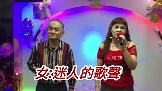 醉歸暝字幕劉瑩珊+蔡東正机明佐