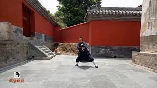 Wudang Baguazhang ----（武当八卦掌）