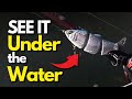 This Lure Finds Bass - Period | Basics of Hard Body Swimbaits