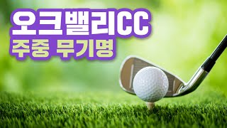 오크밸리cc 주중무기명 회원권