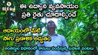 ఈ ఉద్యాన క్షేత్రాన్ని ప్రతి రైతు చూడాల్సిందే || Success Story of Coconut Inter crops||Karshaka Mitra