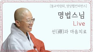 [한국불교수행 Korean Buddhism Meditation : 명법 스님] 선과 마음치유 그리고 질의응답 Seon Therapy