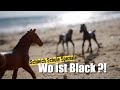 Schleich Schule, Spezial 😱BLACK VERLIEBT?!😱🤯 (Schleich Pferde Kurzfilm deutsch)