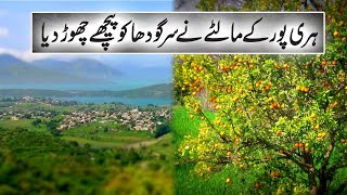 Haripur Ky Malton Ny Sargodha ko Bhi Peechay Chor Dia | Aik Talkshawk