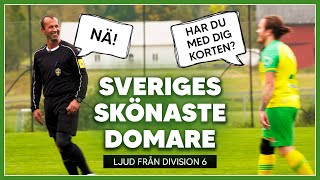 Sveriges skönaste domare