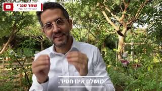 חסיד אינו מושלם- סיכום ל.