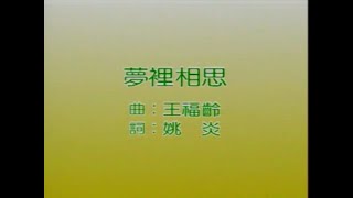 风格群星 - 梦里相思【金曲老歌 卡拉OK流行榜】