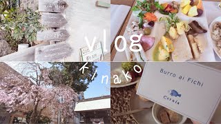 ［vlog］🥖福岡有名店で明太フランスを購入した日🥖|🌸博多をぶらぶら歩いた日🥿|気ままに過ごす休日🍽️