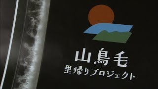 国宝の太刀「山鳥毛」の購入プロジェクト　公金投入を撤回へ　岡山・瀬戸内市