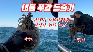 시즌 막바지! 이제는 대물쭈갑시즌!!