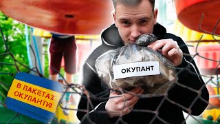 ШУКАЮТЬ МІШКИ З ОКУПАНТАМИ В ПАРКУ ЧЕЛЕНДЖ!