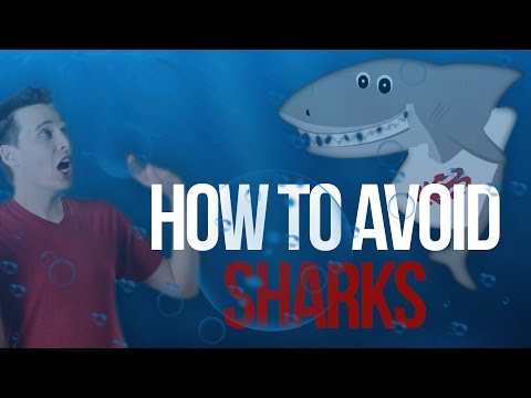 10 Ways to Avoid SHARKS!!! 10 Ways to Avoid SHARKS!!!