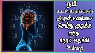 35.Which time our body organs are functioning தமிழ்?நம் உடல் உறுப்புகள் இயங்கும் நேரம்||Kirthu Talks