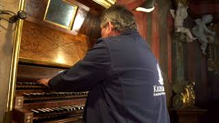 Organista z Krzeszowa