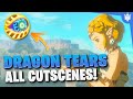 ALL Dragon Tear Cutscenes (Memories) IN ORDER in Zelda: Tears Of The Kingdom | Movie, No Commentary