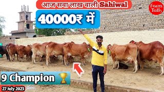 आज सवा लाख वाली साहीवाल 40000₹ में साथ में बछड़ी 👌 9 Sahiwal Cow Lot Available For Sale ✅ Cow Videos