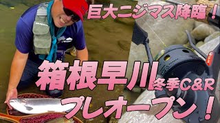 【巨大魚激闘🔥】箱根早川冬季CRプレオープンに行ってきた‼️