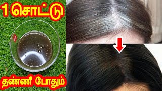 1 சொட்டு தண்ணீ போதும் வெள்ளைமுடி எல்லாம் கருமையா மாறும்How to cure White hair to Black hair in Tamil