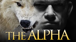 Signs That You Are An "Alpha Male".