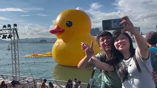 Giant inflatable duck deflates in Hong Kong harbor