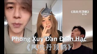 [Douyin Cover] Phong Xuy Đan Đính Hạc《风吹丹顶鹤》