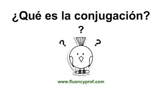 What does verb conjugation mean?