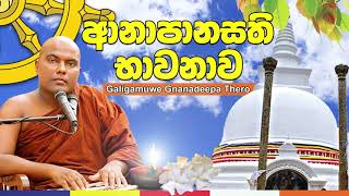 AnapanaSathi Bavanawa 1 - ආනාපානසති භාවනාව 1 / Venerable Galigamuwe Gnanadeepa Thero