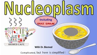 Nucleoplasm: Structure and Function