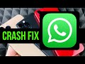 How to Fix WhatsApp that keeps crashing, not working on your iPhone