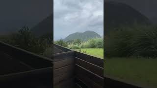 陽明山溫泉湯屋外的山景