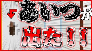 【閲覧注意】【ゆっくり茶番】虫が嫌いな人は見ないでください！！