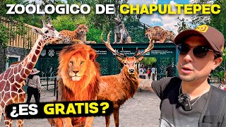 Así es el ZOOLÓGICO de CHAPULTEPEC 🦁🦒🇲🇽 Guía COMPLETA ✅ MEXICO