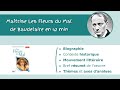 Les Fleurs du Mal de Baudelaire en 42min - pour cartonner à l'ORAL ! 🎓