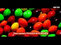 how skittles are made all secrets