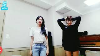 Momo and chaeyoung basic jyp dance(mirrored)