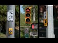 crossing signals for cyclists and pedestrians